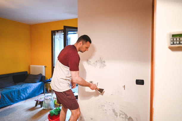 Best Mold Remediation for Specific Building Types in Brookwood, AL